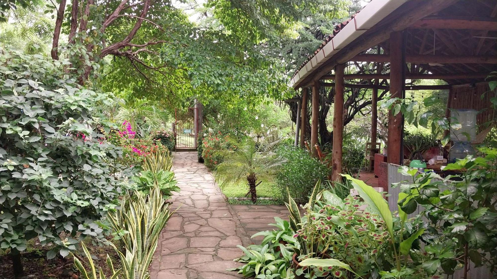 Casa Todo Bueno Bed & Breakfast Transito Bagian luar foto