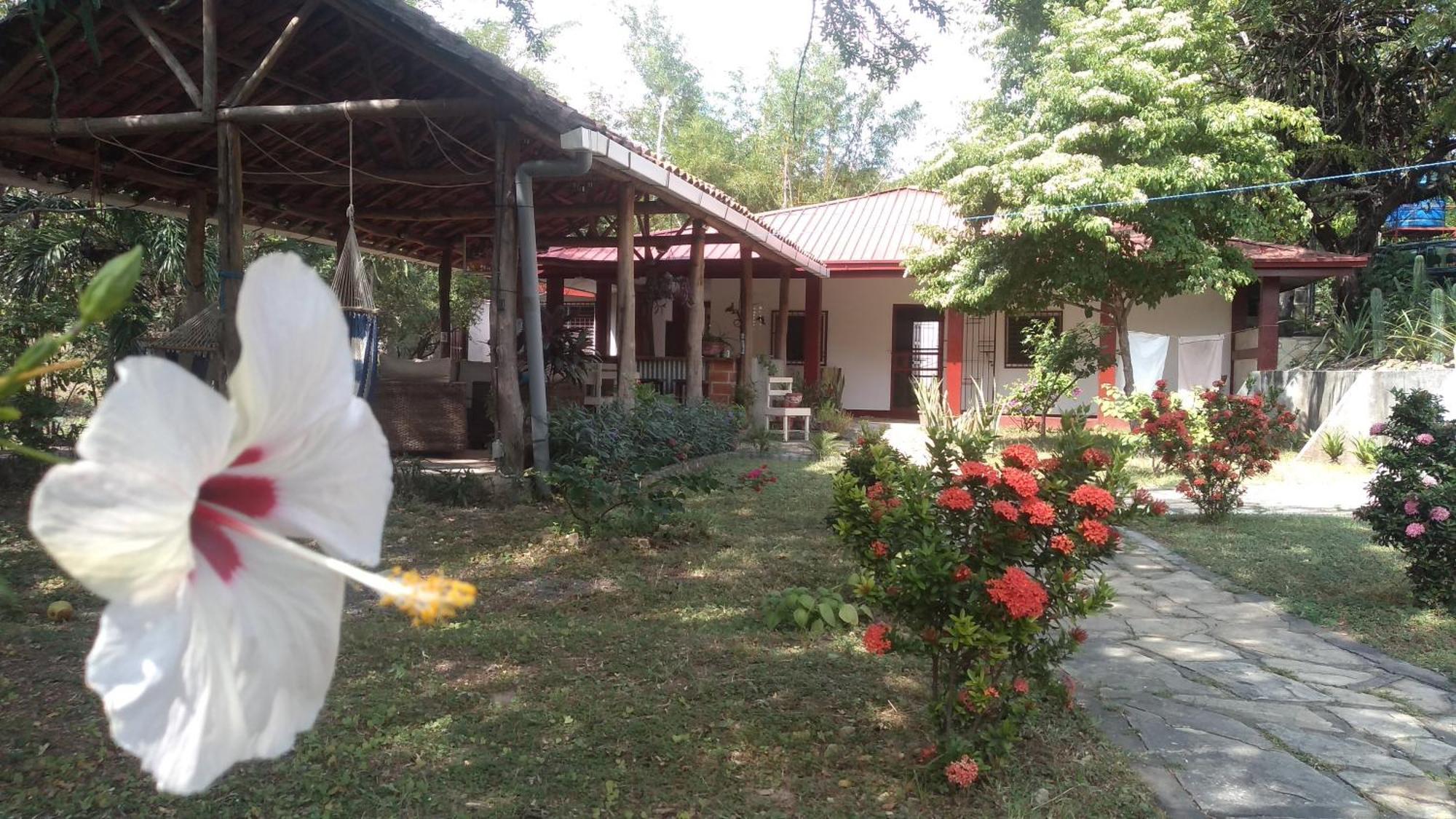 Casa Todo Bueno Bed & Breakfast Transito Bagian luar foto
